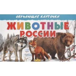 Богуславская М. (худ.) Обучающие карточки. Животные России