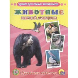 Животные Южной Америки. 16 обучающих карточек