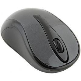 Мышь беспроводная A4TECH G7-360N-1 серый USB