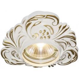 Встраиваемый светильник Arte Lamp Occhio A5285PL-1SG